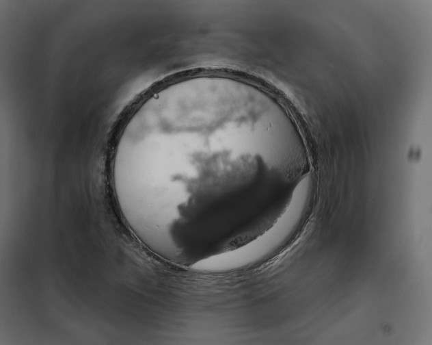 X0000101401263200807280953