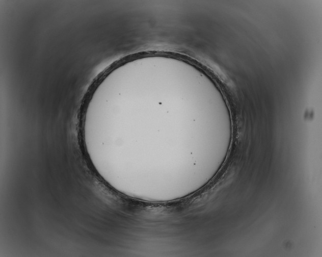 X0000101401264200807280953