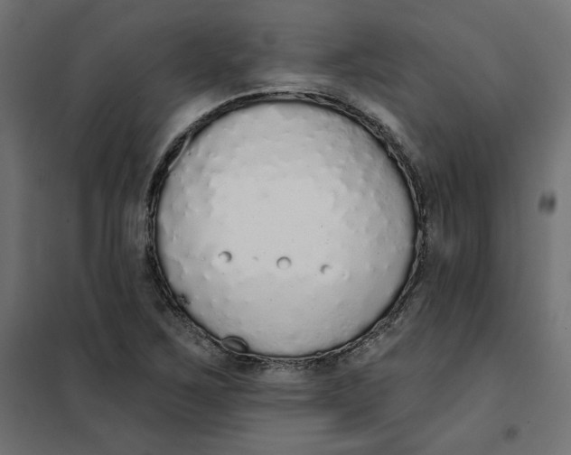 X0000101401267200807280953