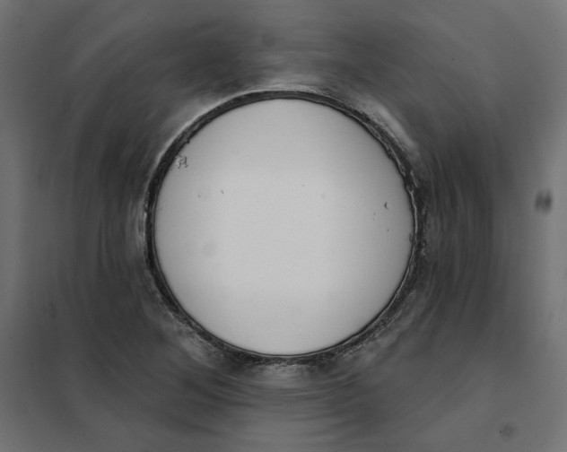 X0000101401268200807280953