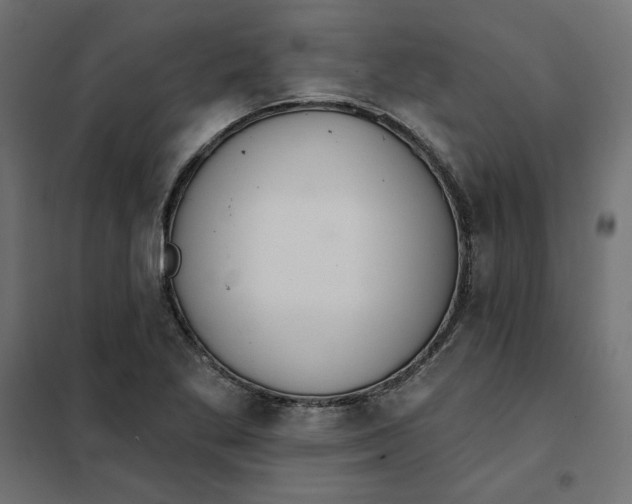 X0000101401269200807280953