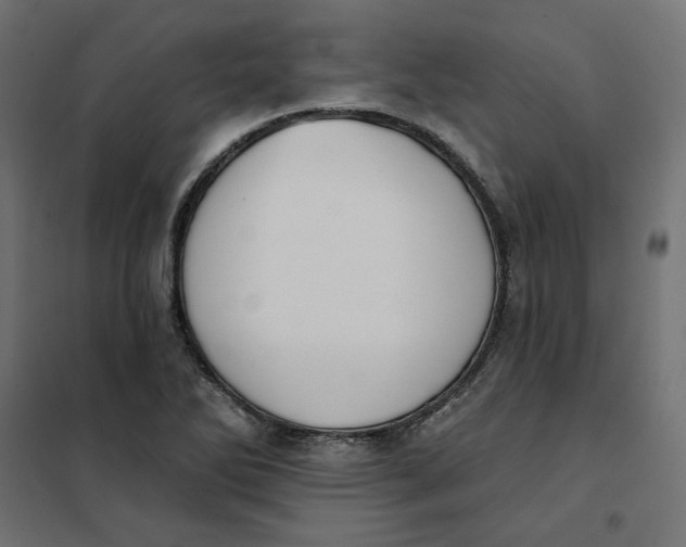 X0000101401270200807280953