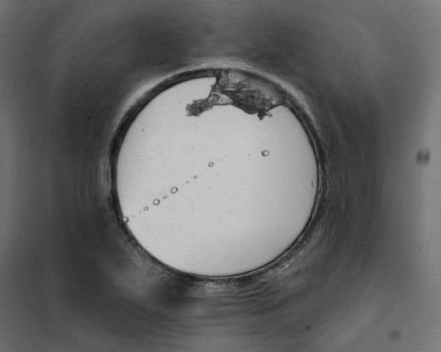 X0000101401271200807280953