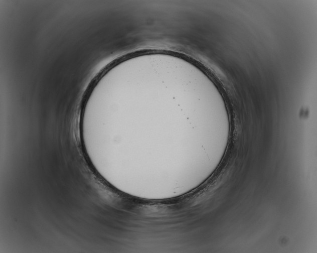 X0000101401272200807280953