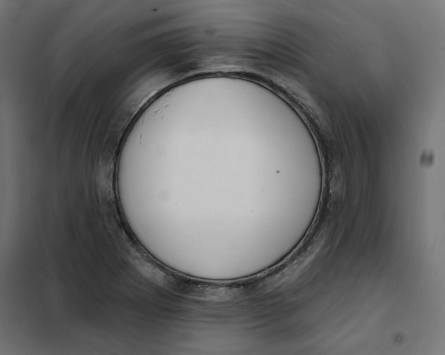 X0000101401273200807280953