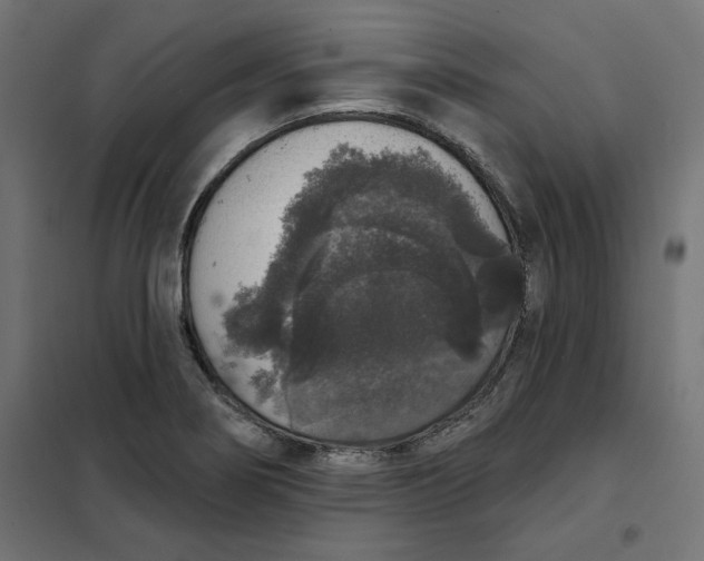 X0000101401274200807280953