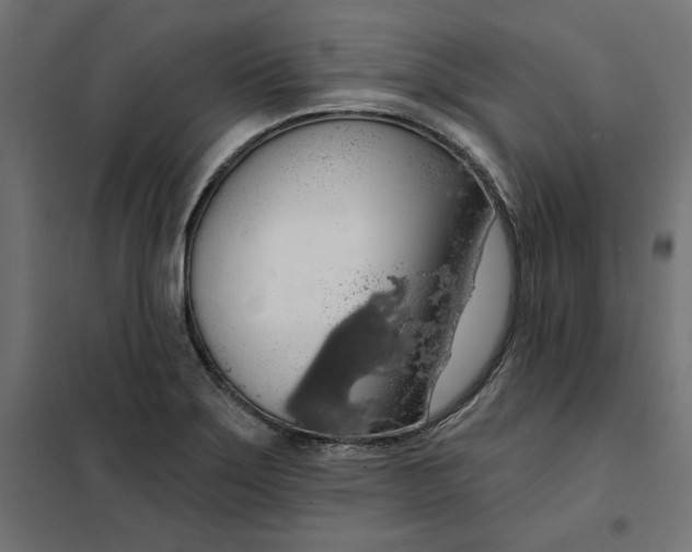 X0000101401275200807280953