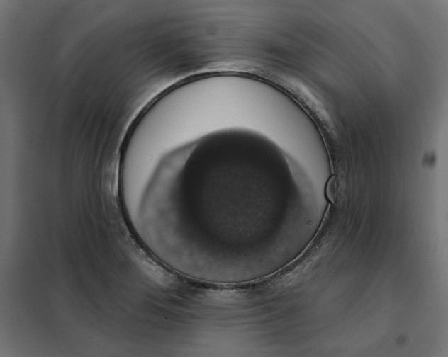 X0000101401276200807280953