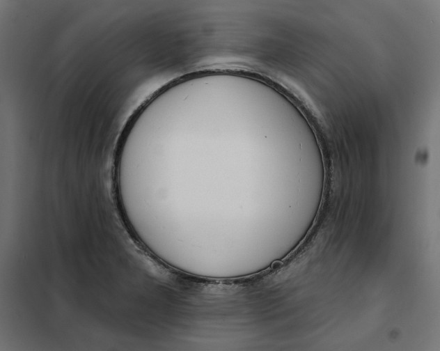 X0000101401277200807280953