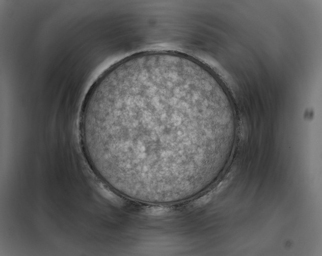 X0000101401278200807280953