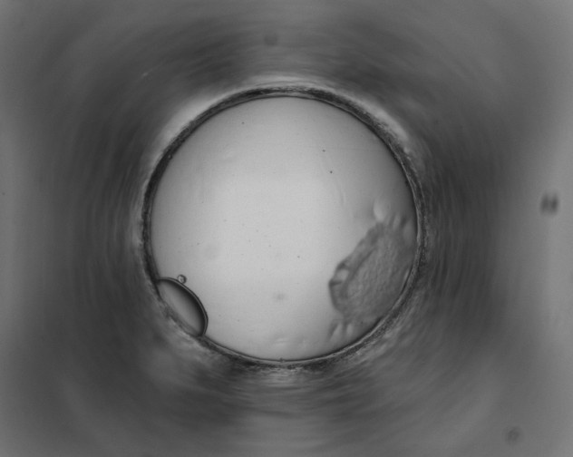 X0000101401279200807280953