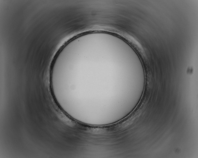 X0000101401280200807280953