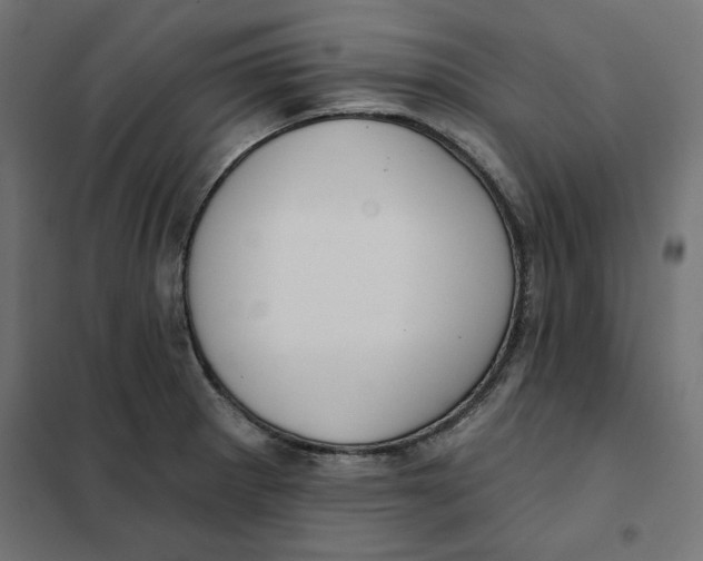 X0000101401281200807280953