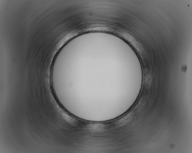 X0000101401282200807280953