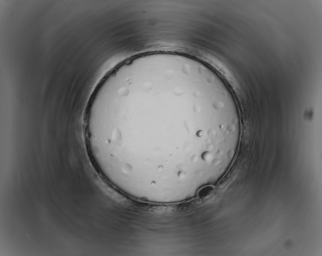 X0000101401283200807280953