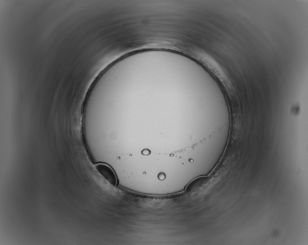 X0000101401284200807280953