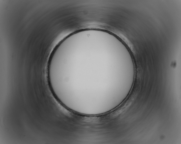 X0000101401285200807280953