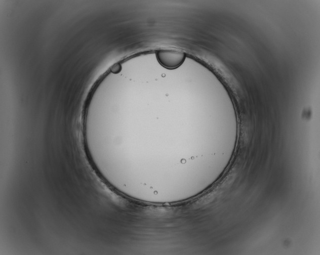 X0000101401286200807280953