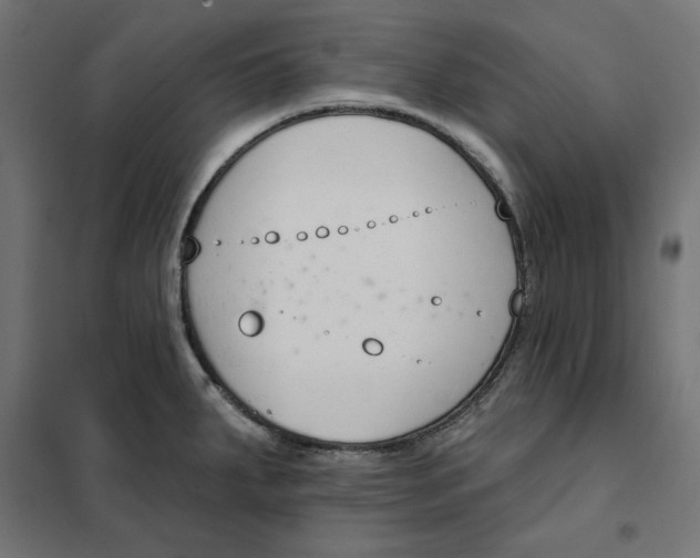 X0000101401287200807280953