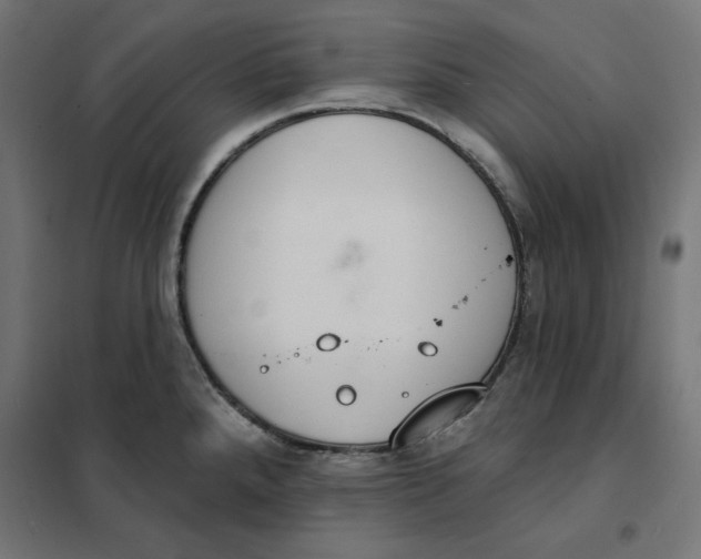 X0000101401288200807280953