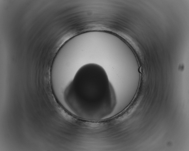 X0000101401289200807280953