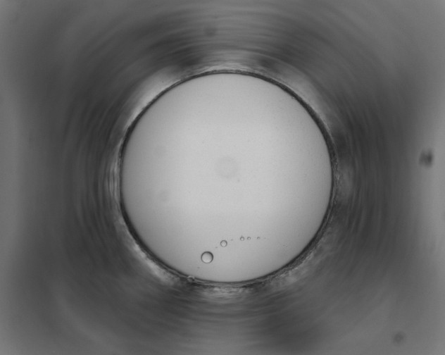 X0000101401290200807280953