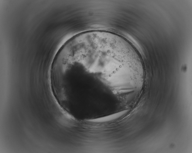 X0000101401291200807280953