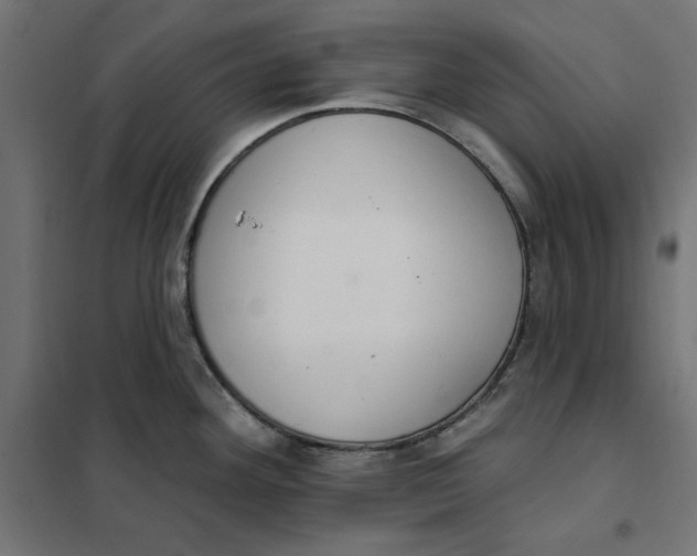 X0000101401292200807280953