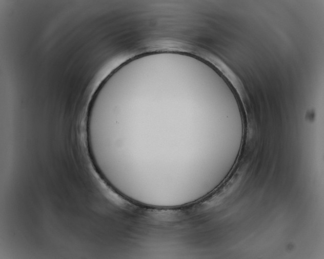 X0000101401293200807280953