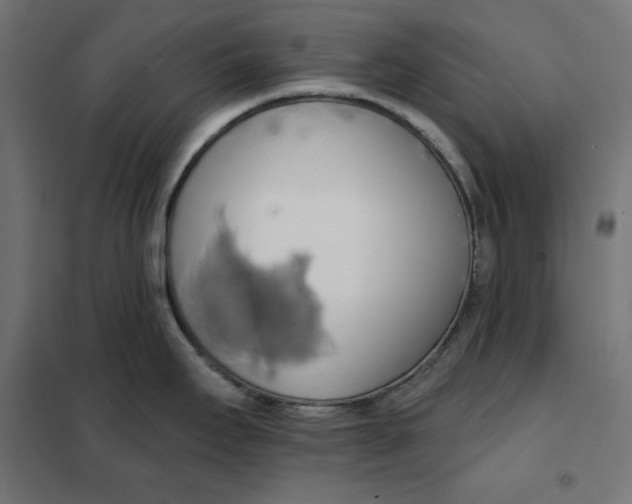 X0000101401295200807280953