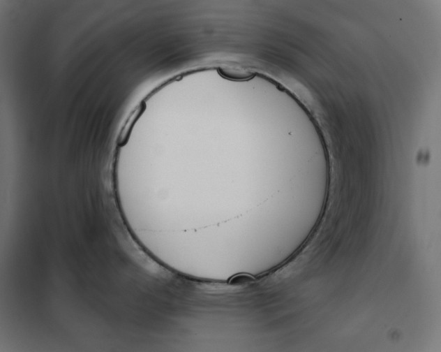 X0000101401296200807280953