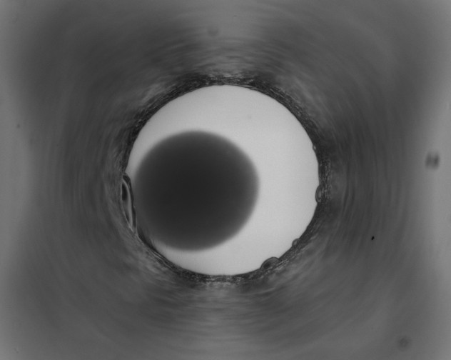 X0000101401297200807280952