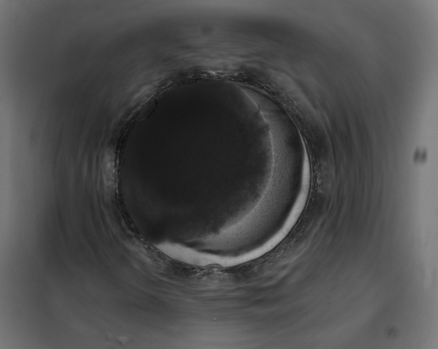 X0000101401298200807280952