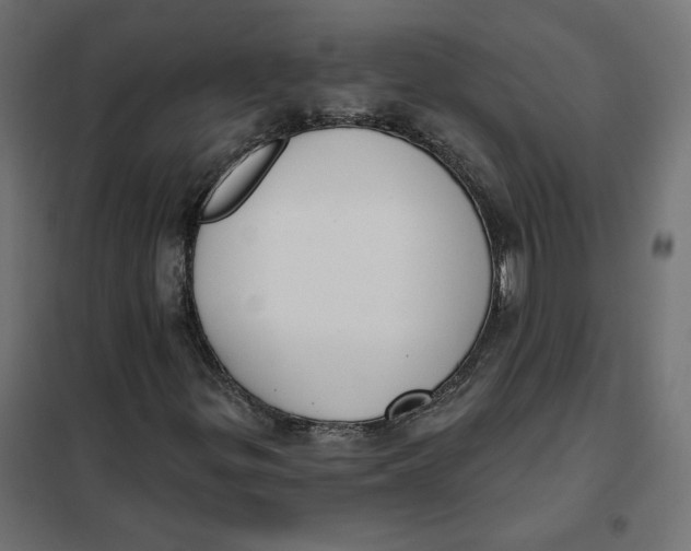 X0000101401299200807280952