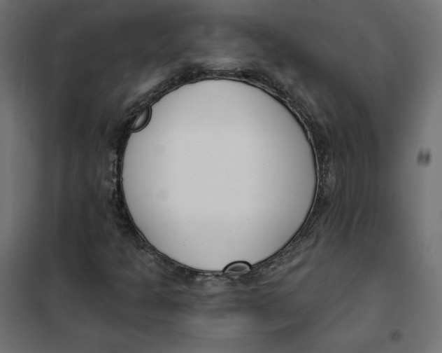 X0000101401301200807280952