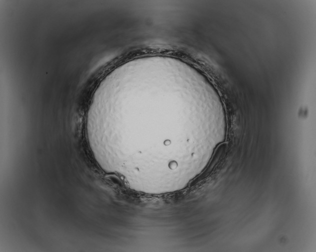 X0000101401302200807280952