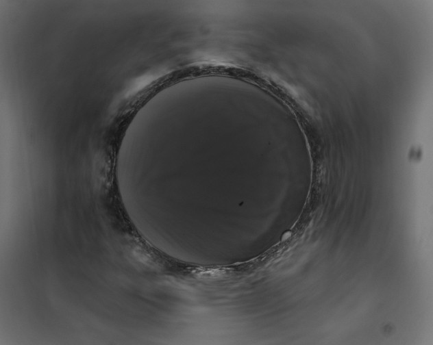 X0000101401303200807280952