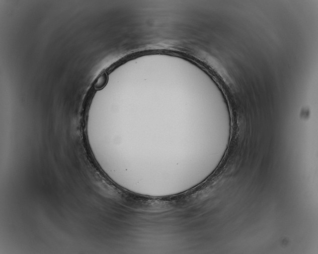 X0000101401308200807280952