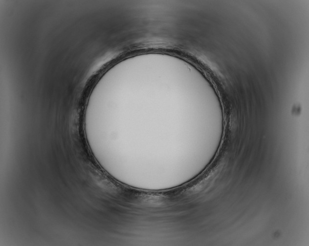 X0000101401309200807280952