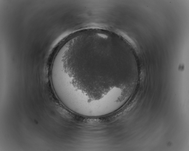 X0000101401310200807280952