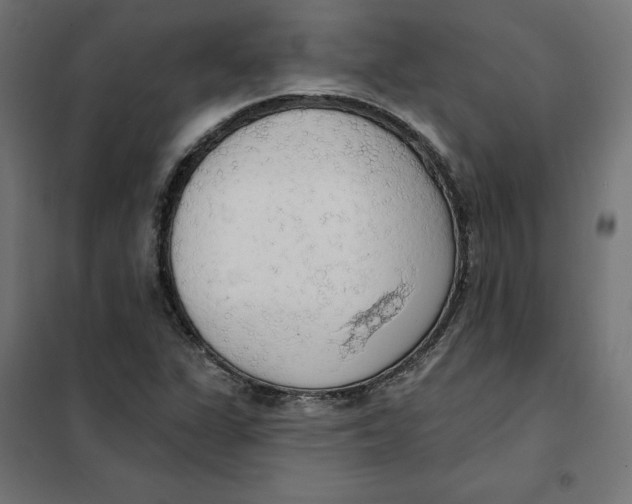 X0000101401311200807280952