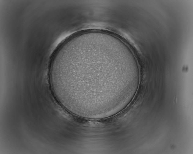 X0000101401312200807280952