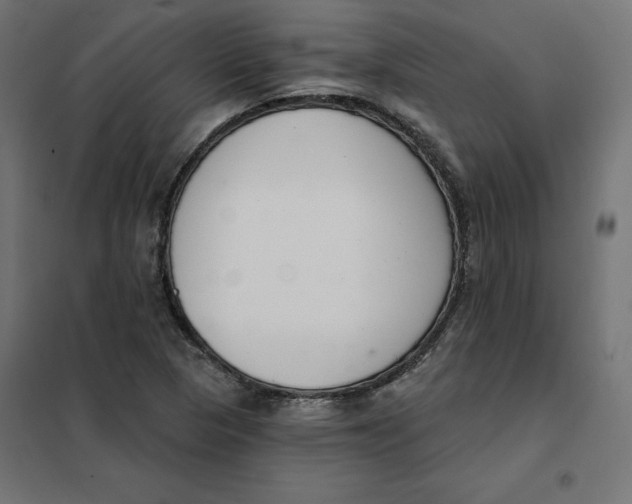 X0000101401313200807280952