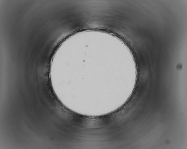 X0000101401314200807280952