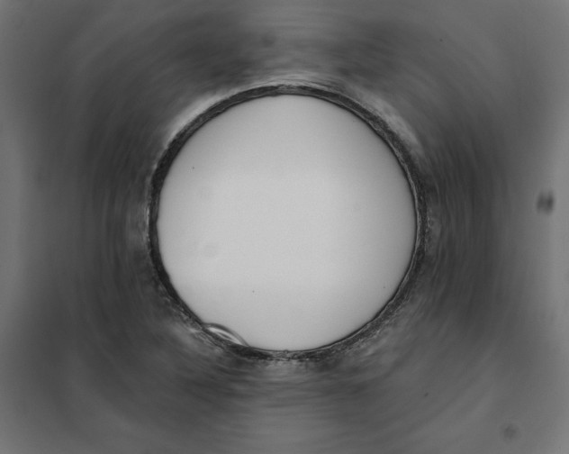 X0000101401316200807280952