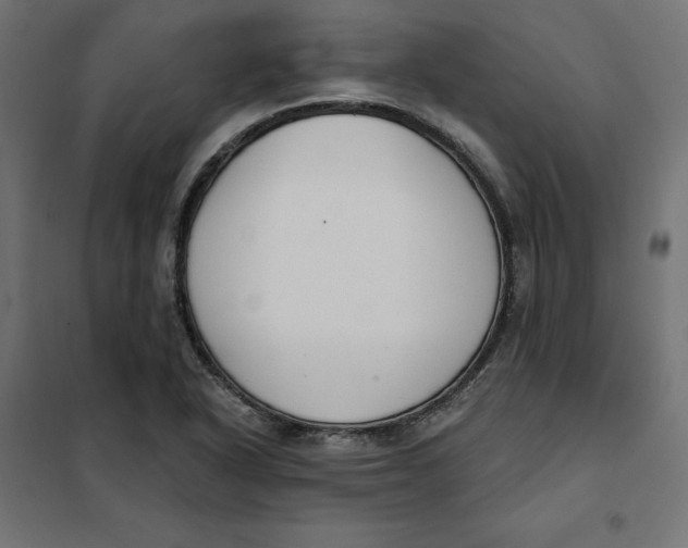 X0000101401318200807280952