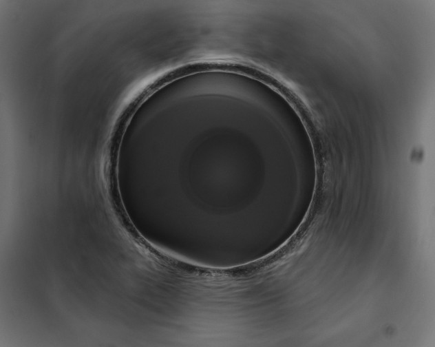 X0000101401319200807280952