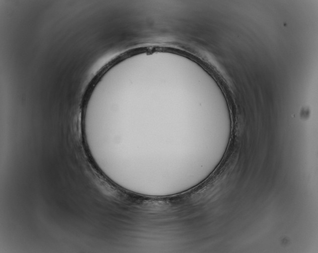 X0000101401320200807280952