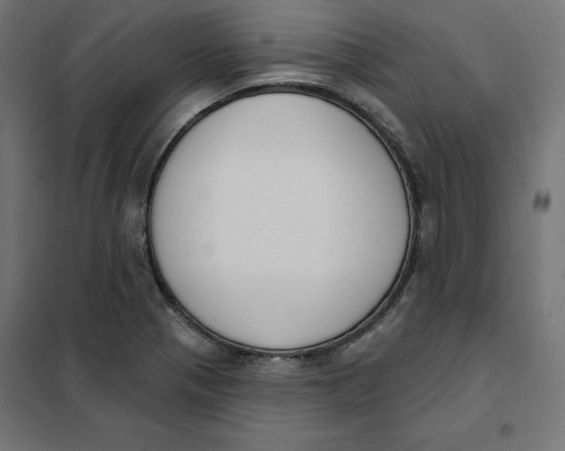 X0000101401321200807280952