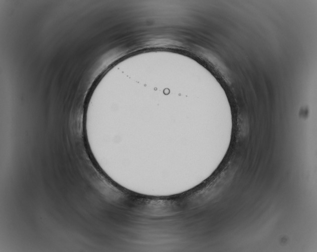 X0000101401322200807280952